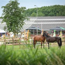 Zilfia's Hoeve, Houten openingstijden