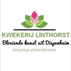 Linthorst Kwekerij, Diepenheim openingstijden