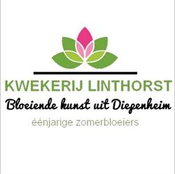 Kwekerij Linthorst, Diepenheim openingstijden