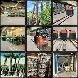 Josten International Bv, Hegelsom openingstijden