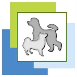 Trimsalon Doggy Styling, Veenendaal openingstijden