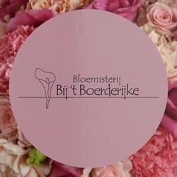 Boerderijke Bloemisterij Bij 't, Maastricht openingstijden