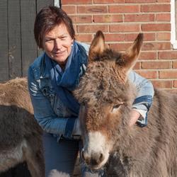Bed & Breakfast De Balkende Ezel, Winterswijk Huppel openingstijden