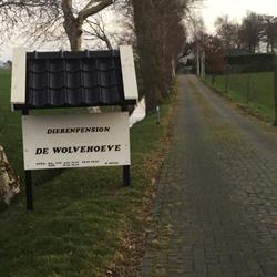 Wolvehoeve, Rotsterhaule openingstijden