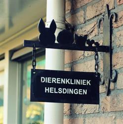 Helsdingen Dierenkliniek, Vianen openingstijden
