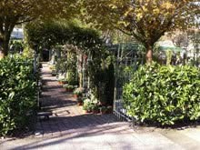 Hofwijck Tuincentrum, Voorburg openingstijden
