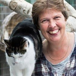 Kattenpension Silvestris, Middenmeer openingstijden