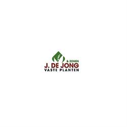 J de Jong & Zonen, Aalsmeer openingstijden