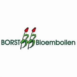 Borst Bloembollen Bv J a, Obdam openingstijden