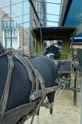 Museum De Schilpen, Maasland openingstijden
