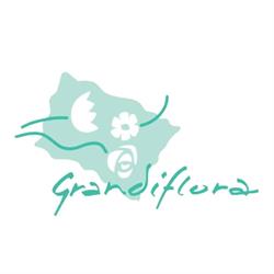 Grandiflora Veldhoven B.V., openingstijden