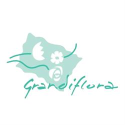 Grandiflora Veldhoven B.V., openingstijden