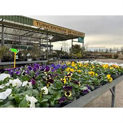 Tuincentrum Keizer, Dalerpeel openingstijden