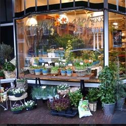 Bloemen en Planten Frank's Bloemensjop, Leiden openingstijden