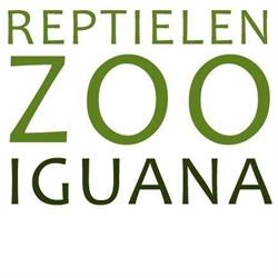 Iguana Reptielenzoo, Vlissingen openingstijden