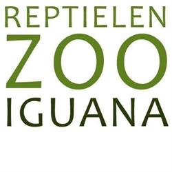 Iguana Reptielenzoo, Vlissingen openingstijden