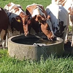Harmienehoeve Kaasboerderij, Winterswijk Woold openingstijden