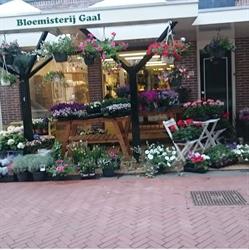 Bloemisterij Gaal, Steenwijk openingstijden