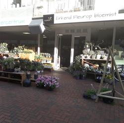 Alders Bloemencentrum, Stadskanaal openingstijden