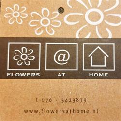 Flowers@home, Breda openingstijden