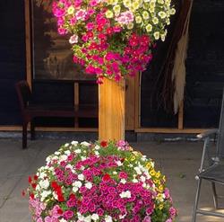 Tuincentrum De Aadaijka, Almelo openingstijden