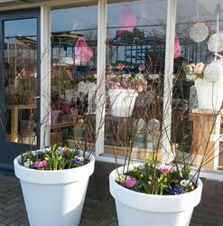 Johan van Dijk VOF Hoveniersbedrijf, Genemuiden openingstijden