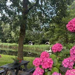 Nije Hof Camping 't, Stadskanaal openingstijden