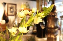 Eeuwige Lente Bloemsierkunst Rob Van Gurp, Brunssum openingstijden