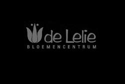 V.O.F. Bloemencentrum De Lelie, Vaassen openingstijden