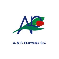 A & P Flowers, Andijk openingstijden
