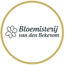 Bekerom Bloemisterij Vd, Liessel openingstijden