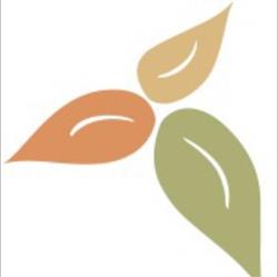 Stijkel-Zeedijk Huid- en Oedeemtherapie E E, Eindhoven openingstijden
