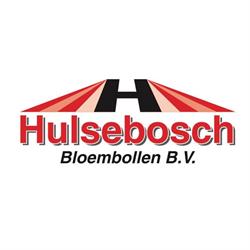 Hulsebosch Bloembollen Bv, Den Helder openingstijden