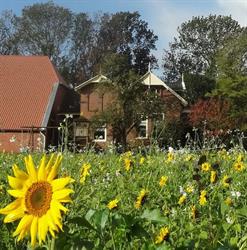 Groepsaccommodatie De Olde Stoeve, Nieuwolda openingstijden