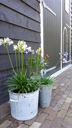 Tuinhof, Vlissingen openingstijden