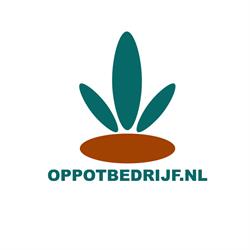Vermeer Bakkenes Oppotbedrijf, Maasdijk openingstijden