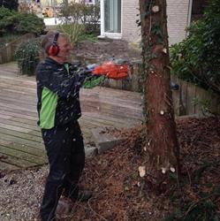 Zuidam Tuinonderhoud, Snelrewaard openingstijden