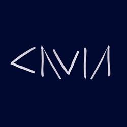 Stichting Filmhuis Cavia, Amsterdam openingstijden