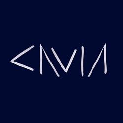 Stichting Filmhuis Cavia, Amsterdam openingstijden