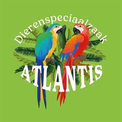 Atlantis Bv Dierenspeciaalzaak, Zwijndrecht openingstijden