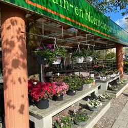 Tuin- en Bloemencentrum Wiegmans, Mijdrecht openingstijden