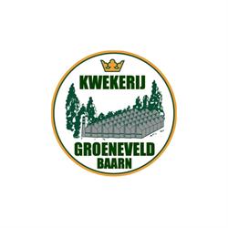 Groeneveld Kwekerij, Baarn openingstijden