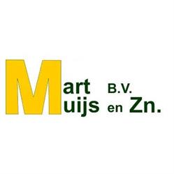 Mart Muijs BV Voegbedrijf & Restauratiebedrijf, IJmuiden openingstijden