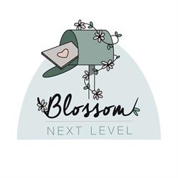blossom next level (brievenbus) cadeaus en decoratie, Eygelshoven openingstijden