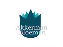 akkerman bloemen, Groningen openingstijden