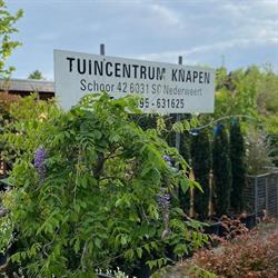 Knapen Tuincentrum-Hoveniersbedrijf V.O.F., Nederweert openingstijden