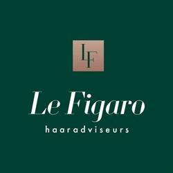 Figaro Haaradviseurs Le, Enschede openingstijden