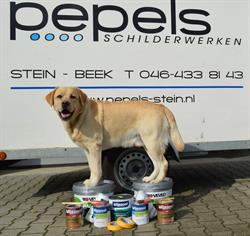 Pepels Schildersbedrijf, Stein openingstijden