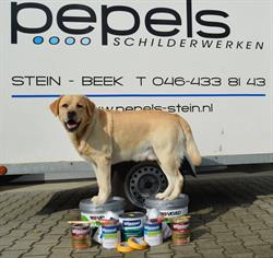 Pepels Schildersbedrijf, Stein openingstijden