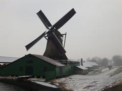 Papiermolen De Schoolmeester, Westzaan openingstijden